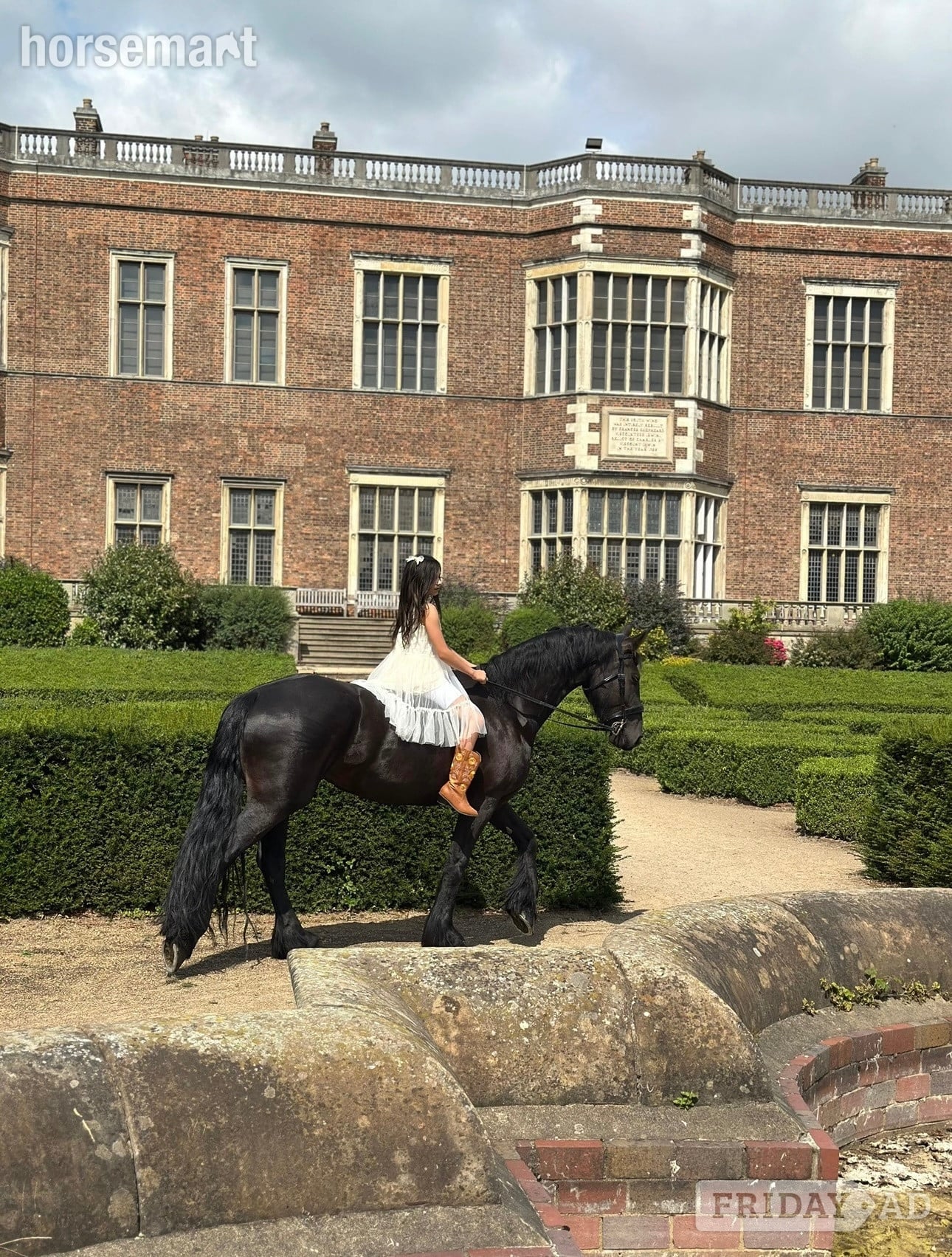 "Khaleesi" Black Mare Cob/Heavy Horse in Batley