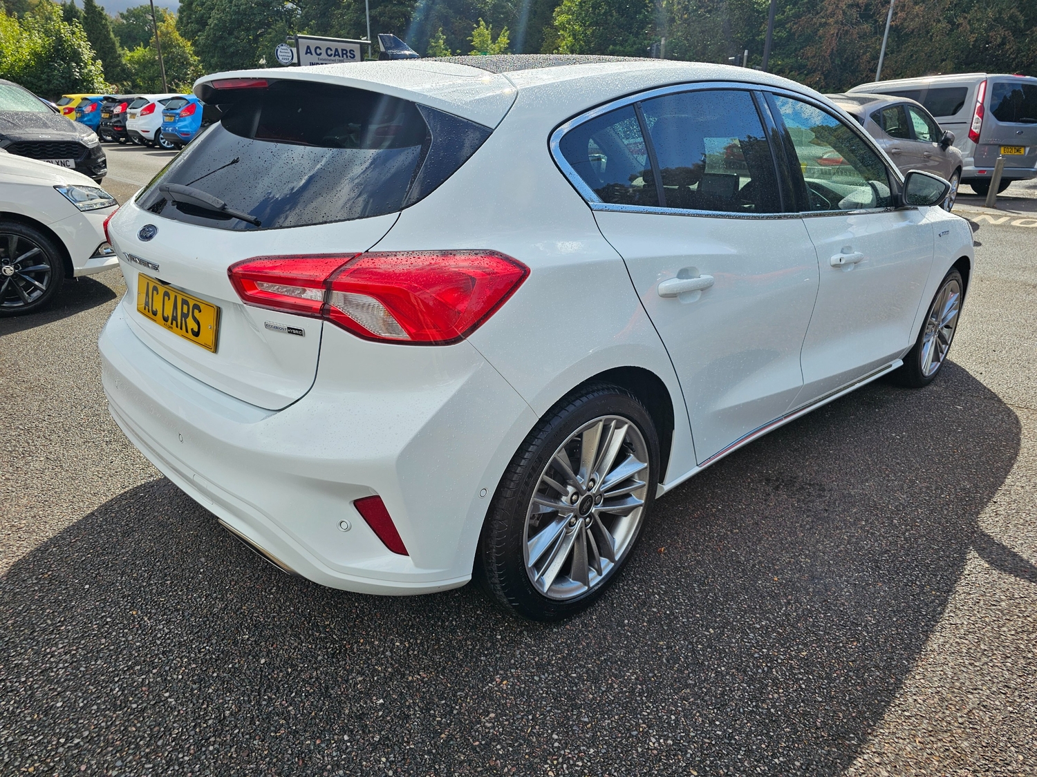 [ berth ]Ford Focus