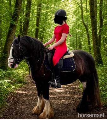 "Casper"  Gelding Cob/Heavy Horse