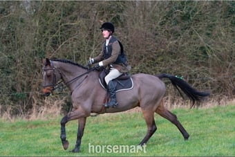 Jachson – Quality Allrounder Available for Part Loan