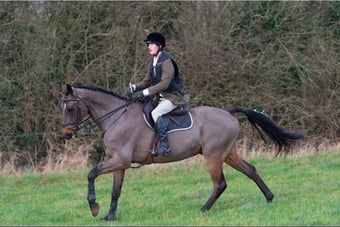 Jachson – Quality Allrounder Available for Part Loan