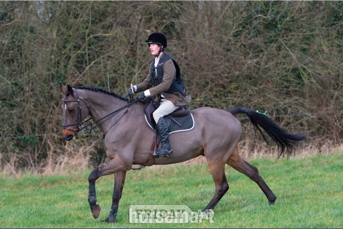 Jachson – Quality Allrounder Available for Part Loan in Kenilworth