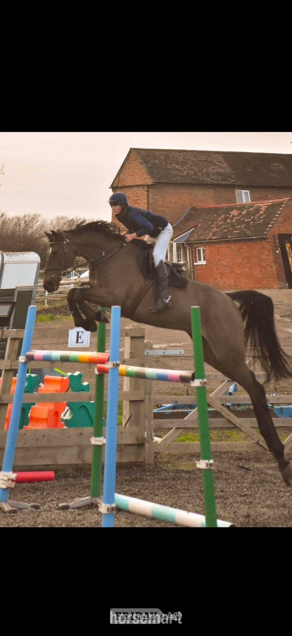 Jachson – Quality Allrounder Available for Part Loan