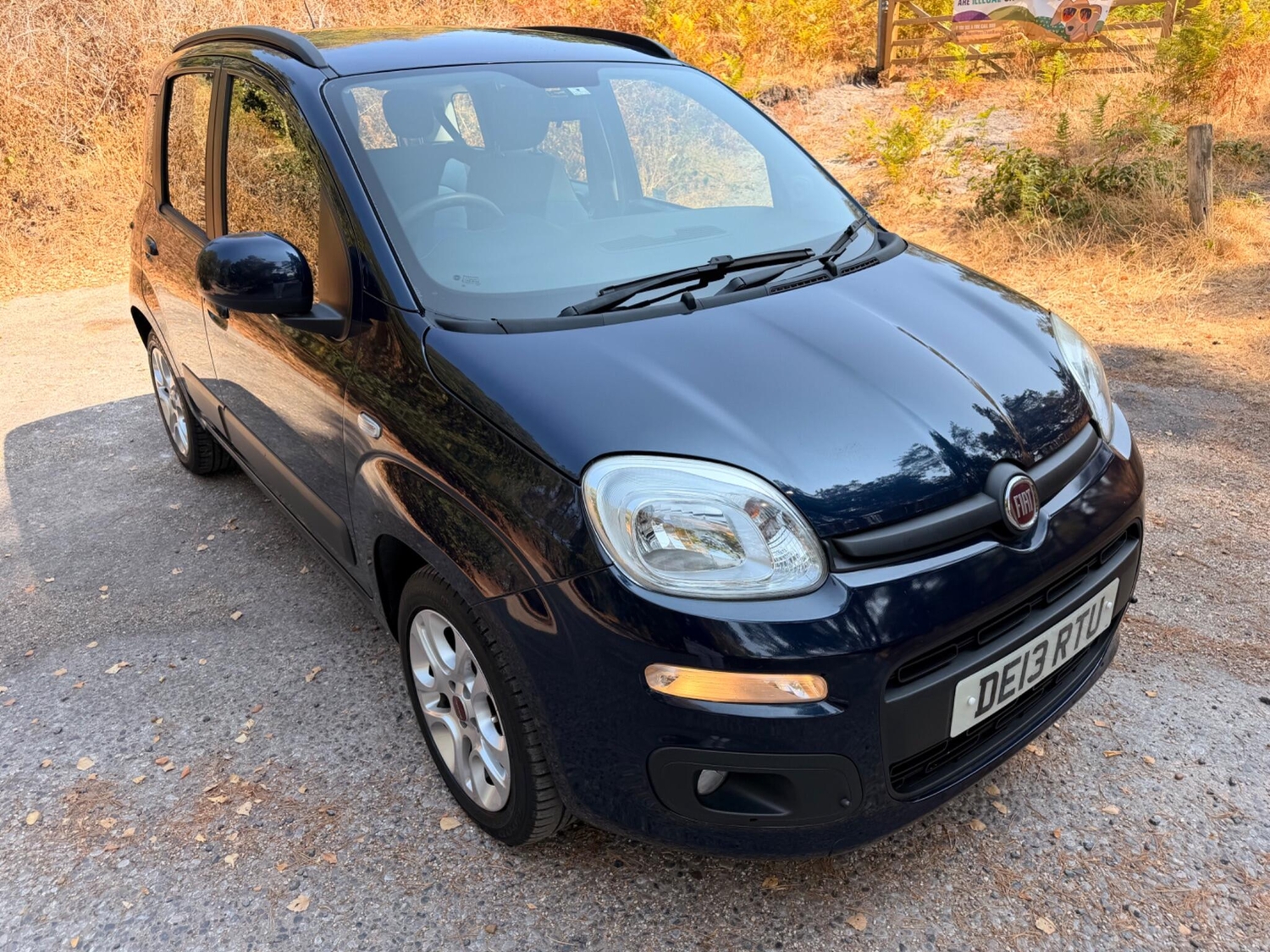 Fiat Panda Ringwood
