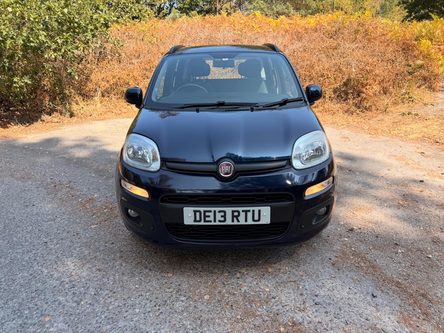 [ berth ]Fiat Panda