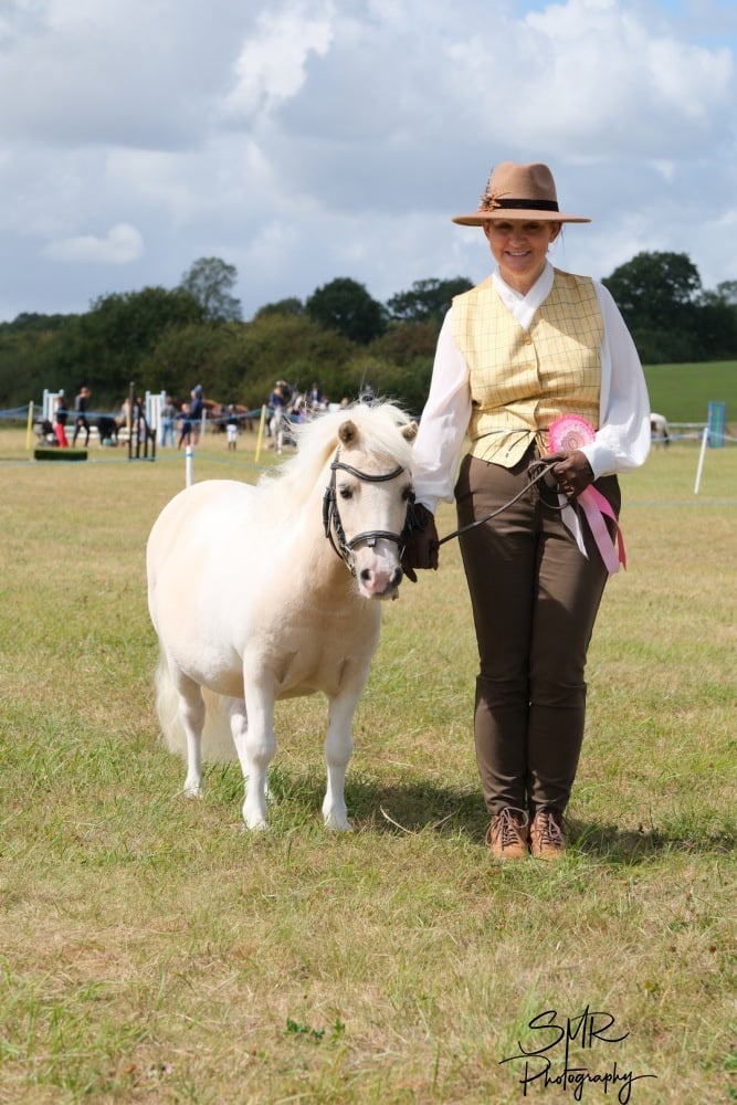 "Dandylion" Skewbald Gelding All Rounder