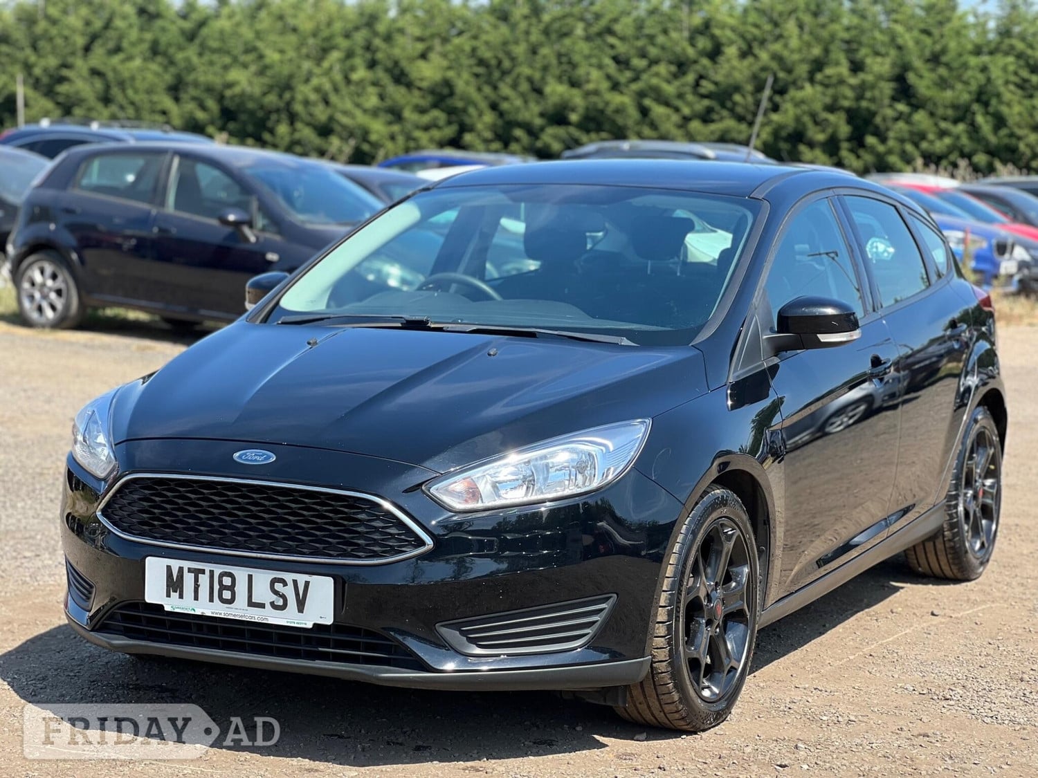 [ berth ]Ford Focus