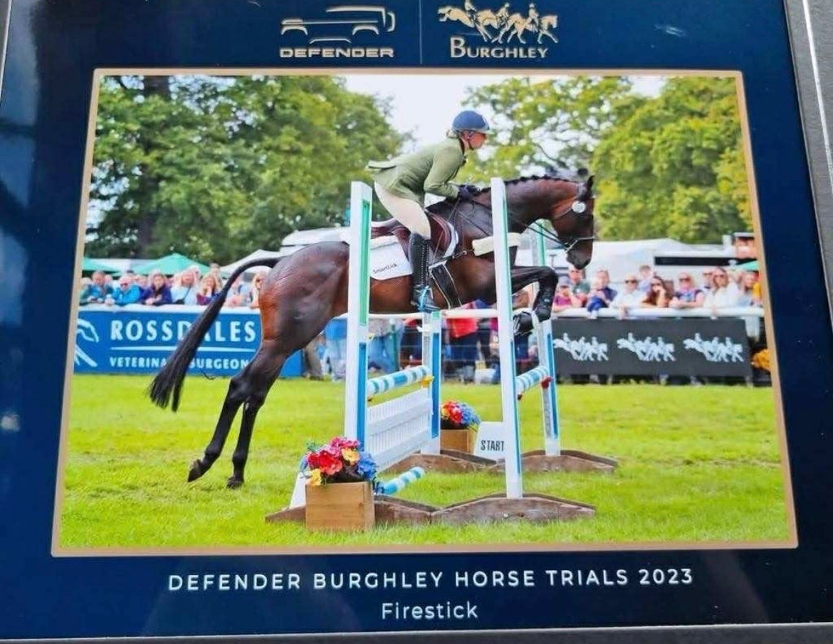 Richmond "Petal "  Mare Young Sport Horse