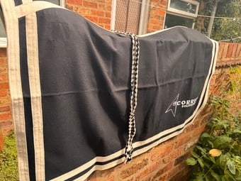 Horse coat and straps