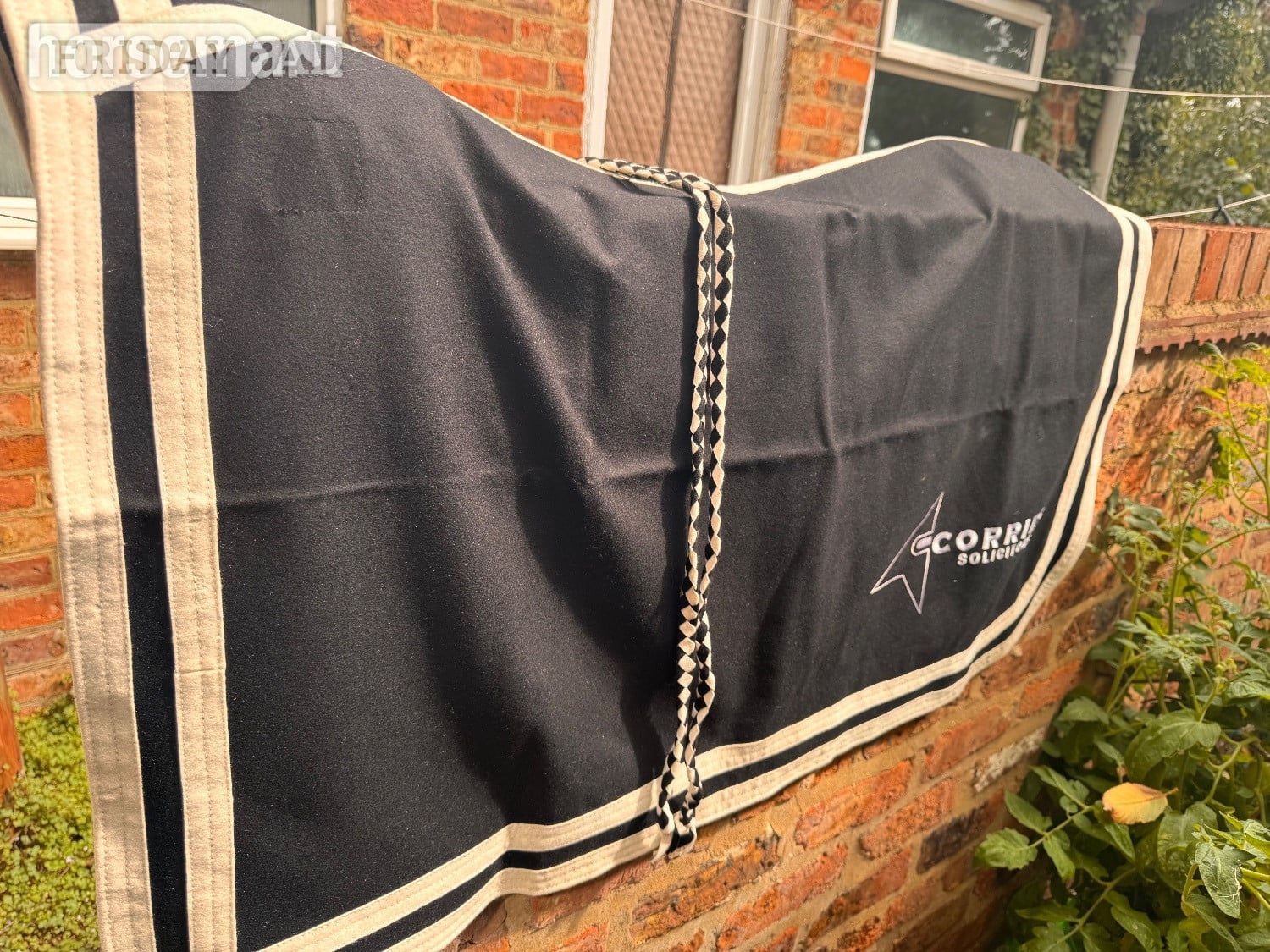 Horse coat and straps in York