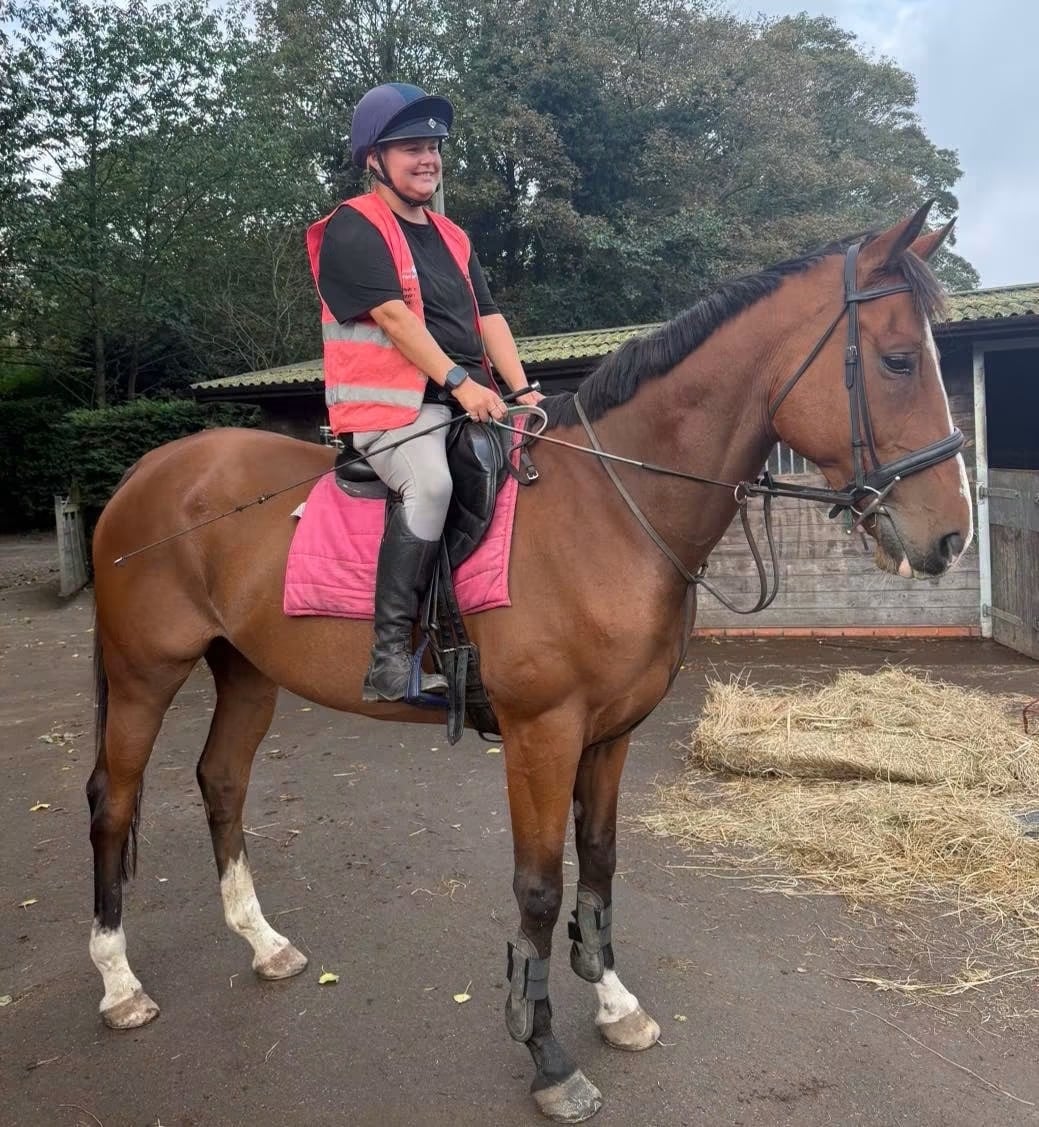 "Frankie" Bay Gelding All Rounder