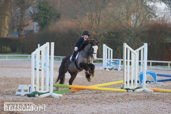 "Elfie" Roan Mare Pony Club Pony