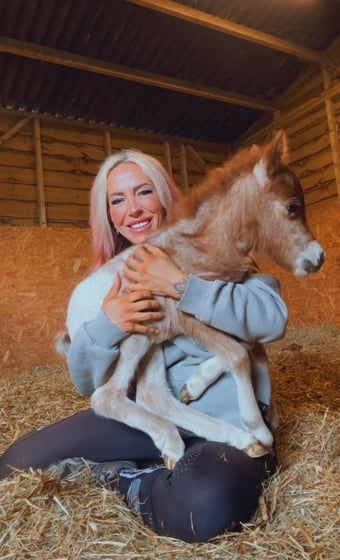 "ST GEORGE" Spotted Colt Miniature Horse