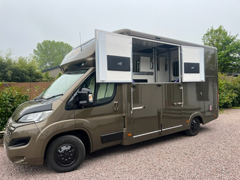 Foxy Finesse Stallion Citroen Horsebox