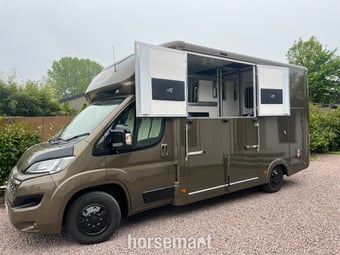 Foxy Finesse Stallion Citroen Horsebox