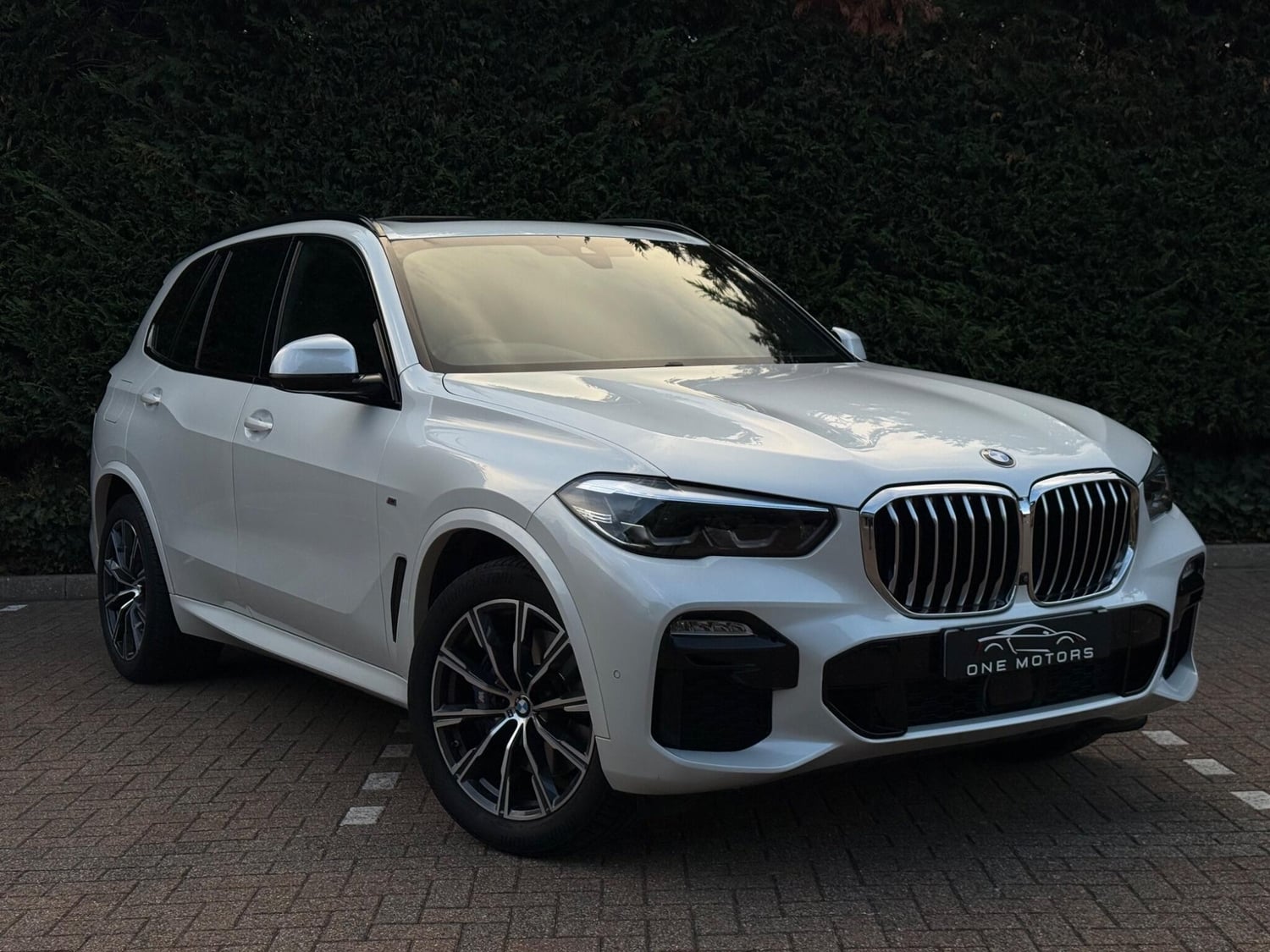 BMW X5 2020 in Leatherhead