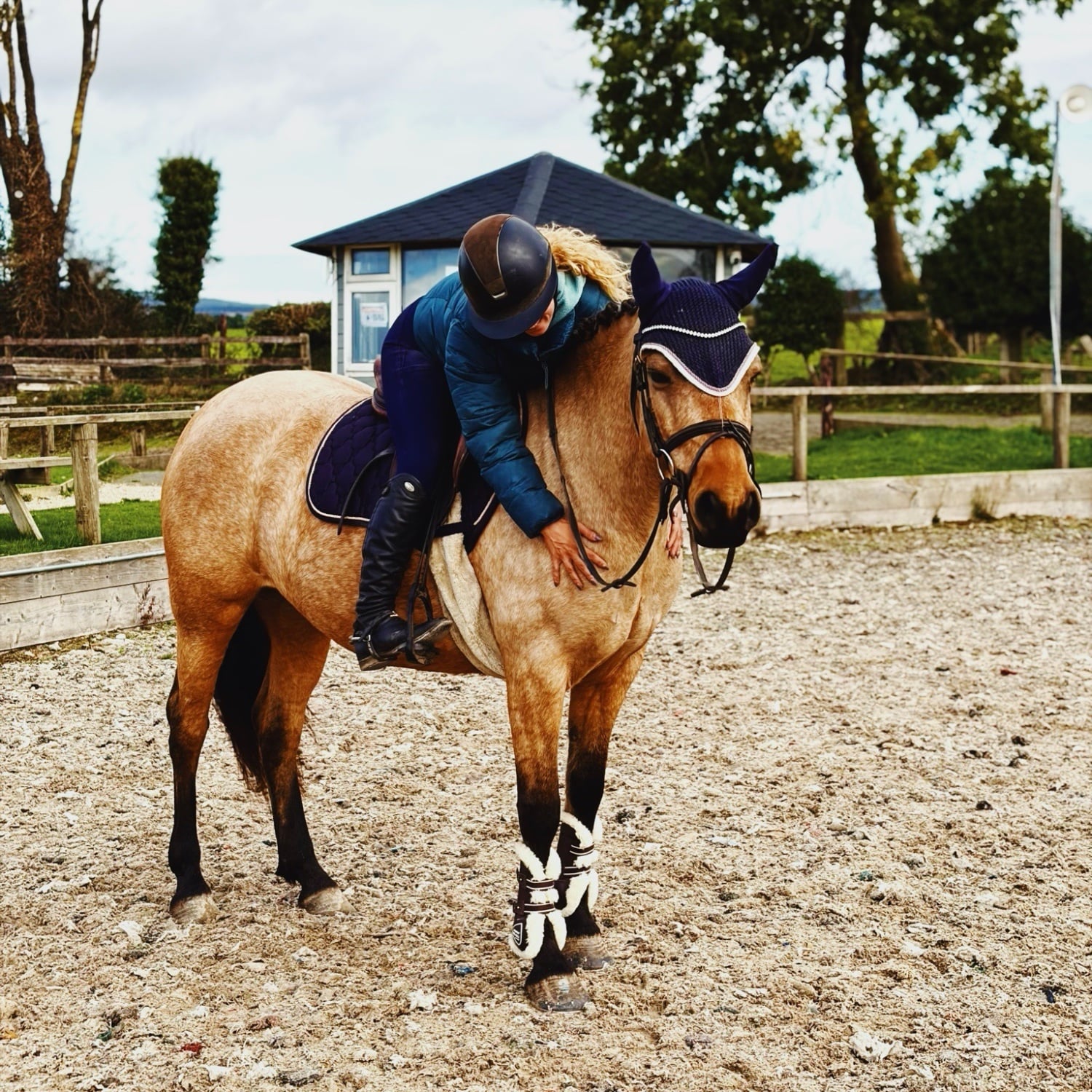Raheen "Cheerio: stunning ultimate ponyclub allrounder for ride &amp; drive" Dun Mare Schoolmaster