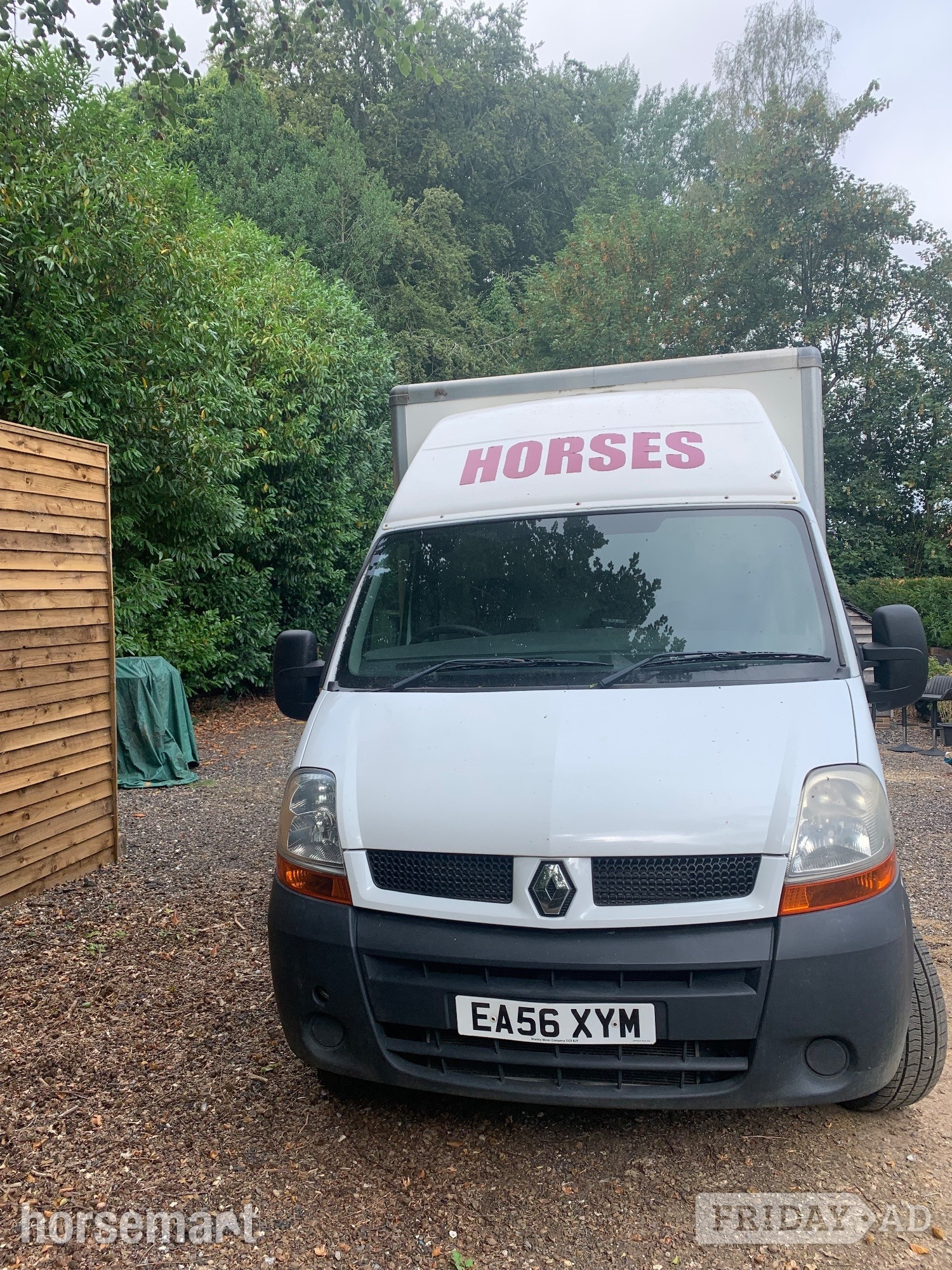 Horsebox   Renault Master Horsebox - Trailers & Horseboxes