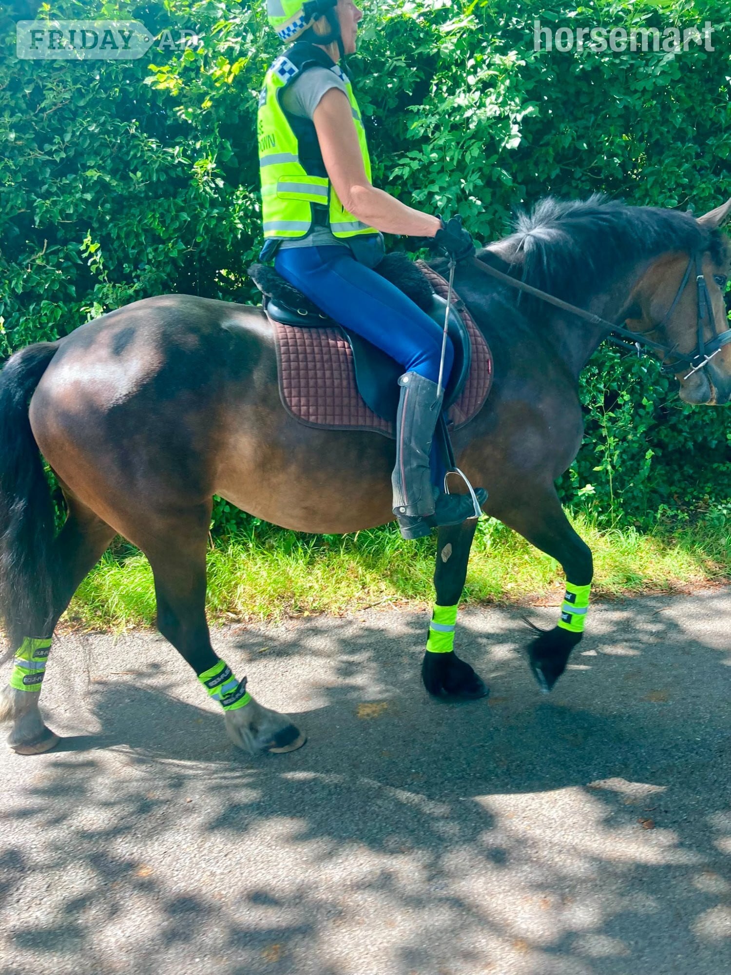 Kidderminster "Lulu" Bay Mare All Rounder