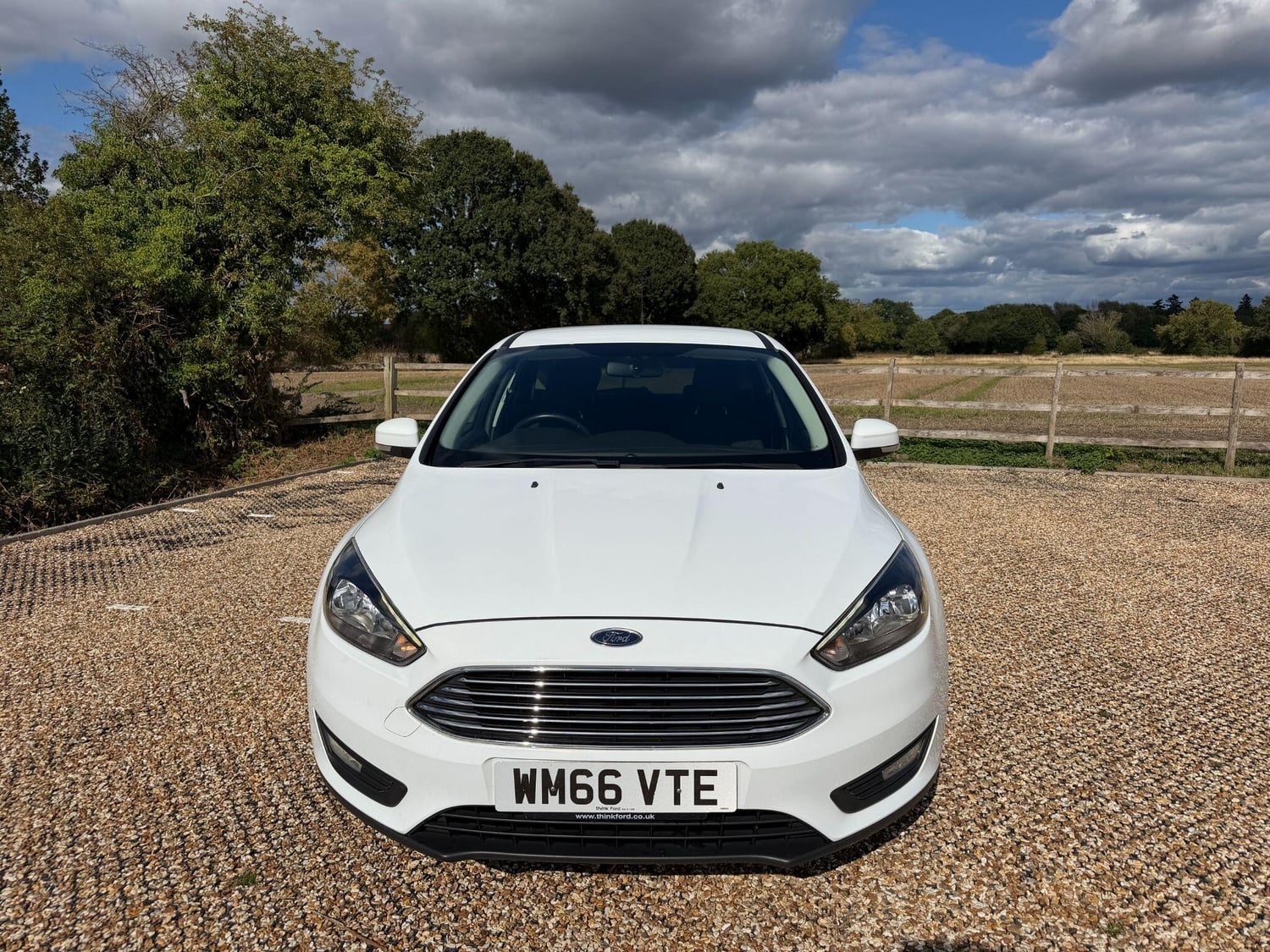 Ford Focus Fleet