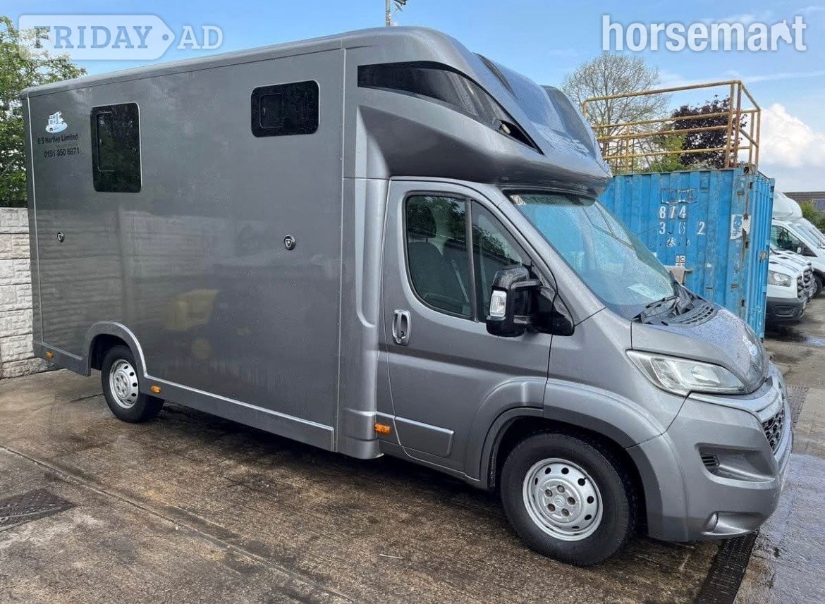 Regent Stallion Citroen Horsebox in Ellesmere Port