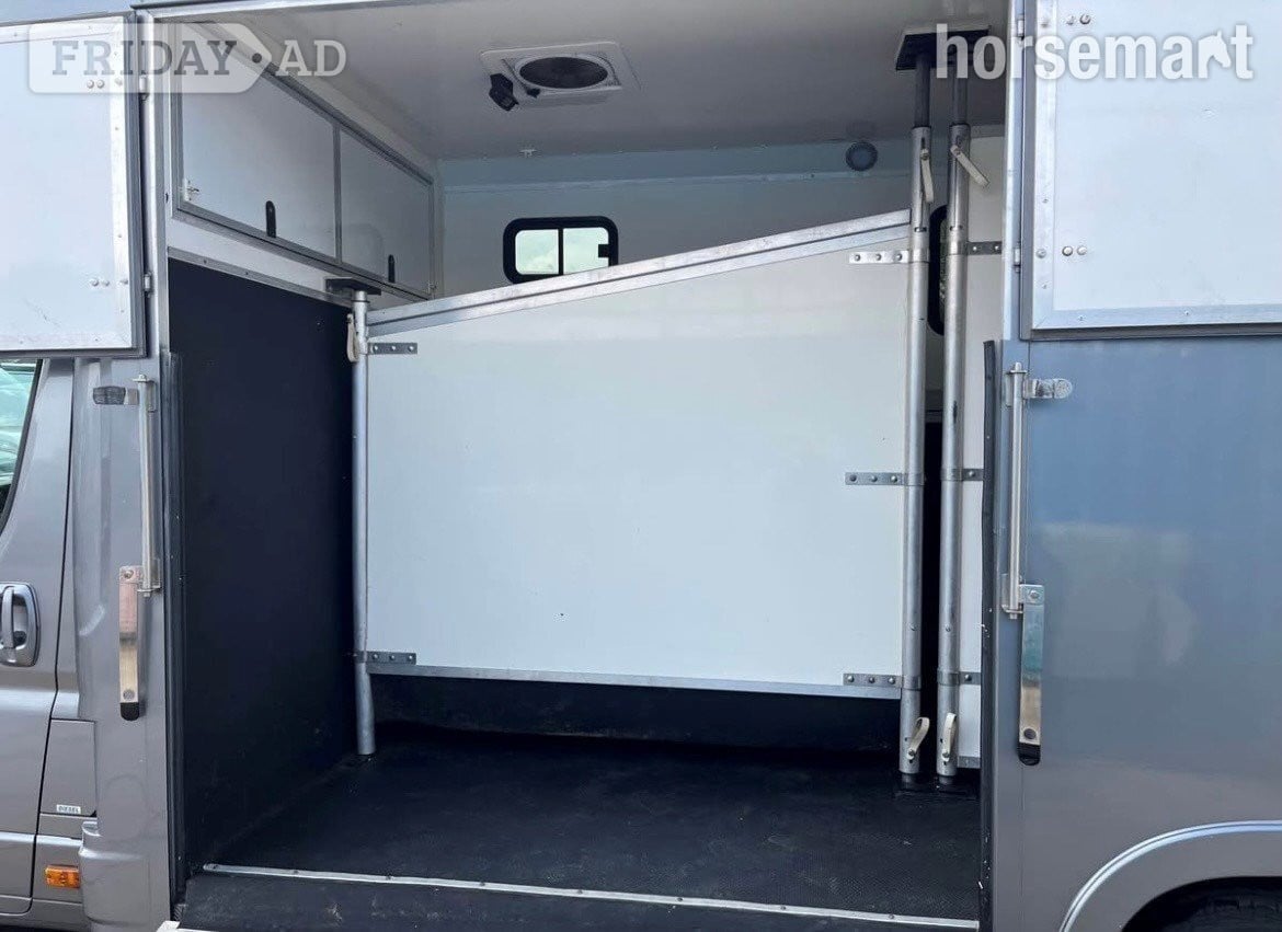 Regent Stallion Citroen Horsebox - Trailers & Horseboxes