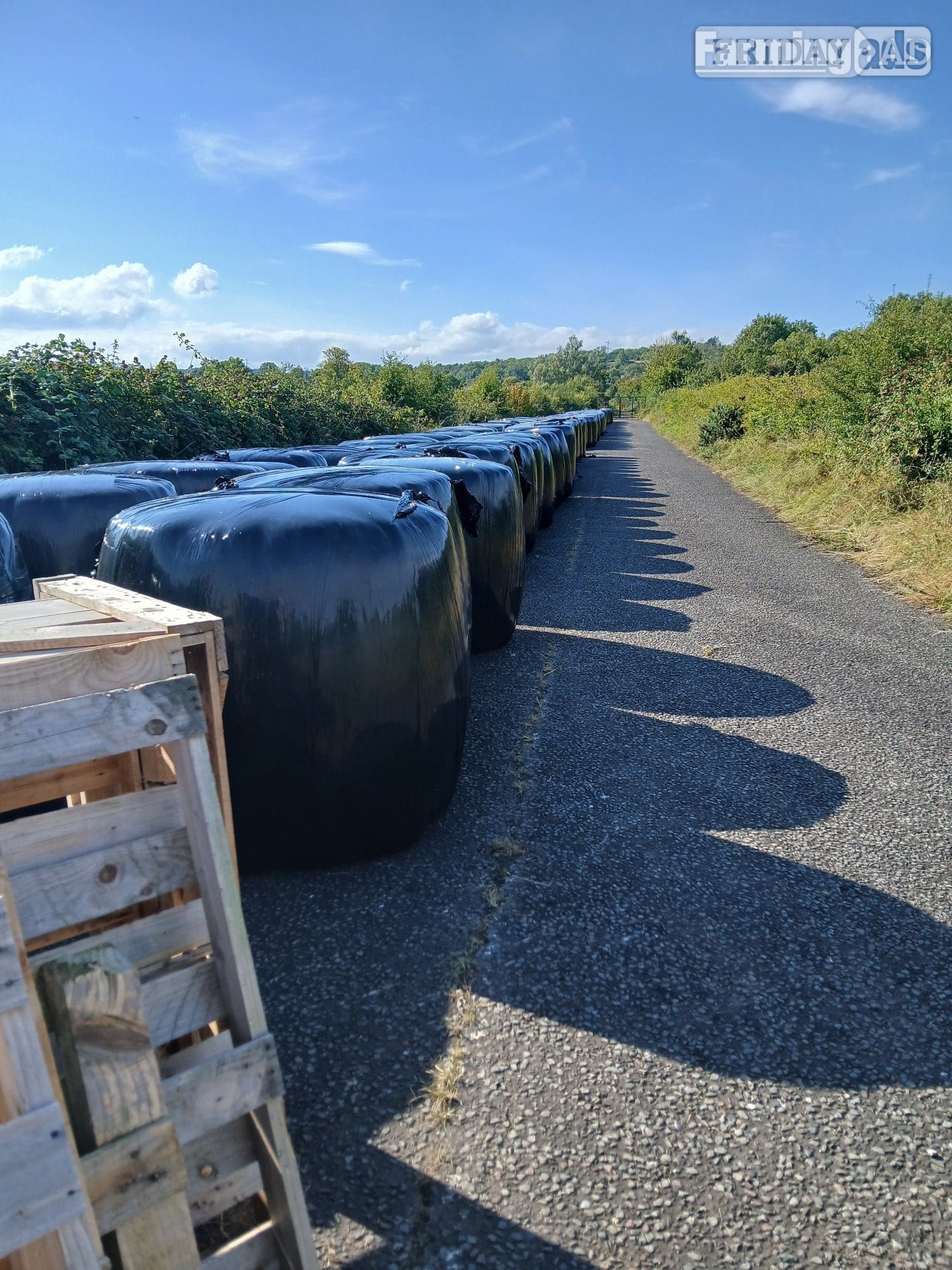 Round bale Silage and Haylage in Brighton