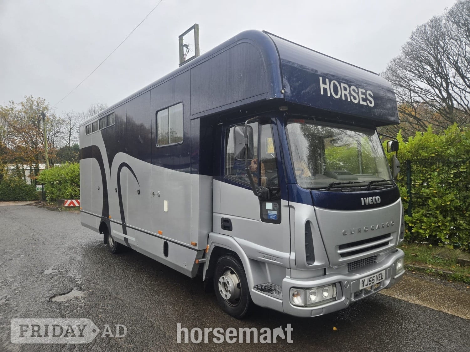 Custom Eurocargo Iveco Horsebox in Chorley