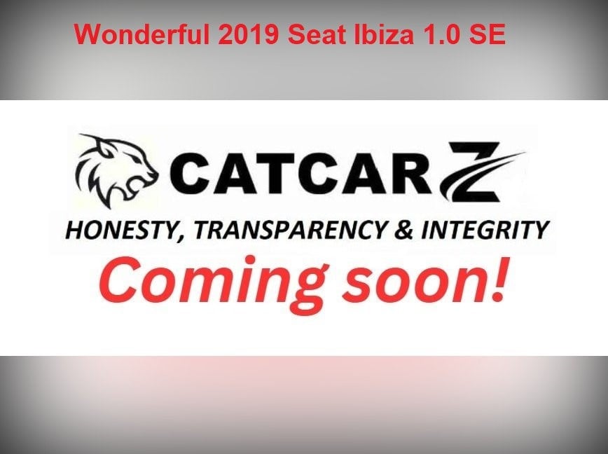 SEAT Ibiza 2019 in Uckfield