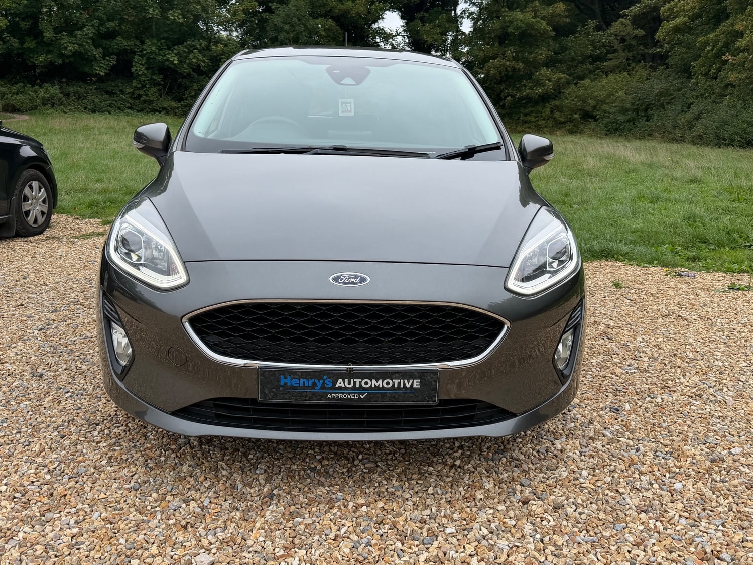 Ford Fiesta Newport
