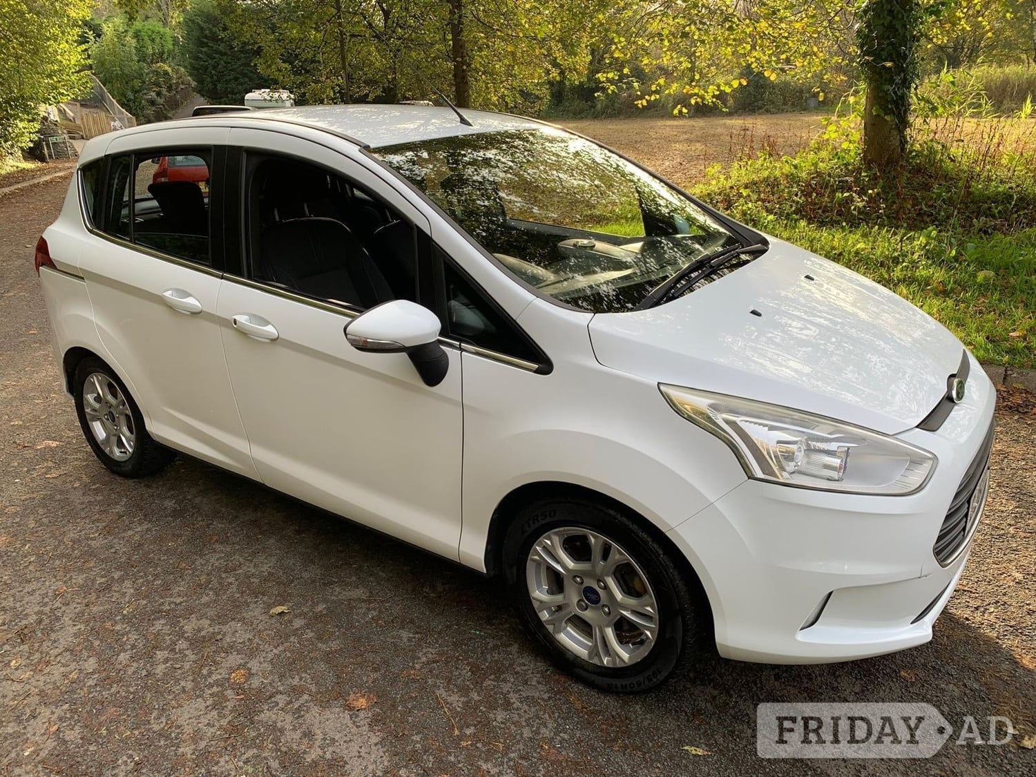 Ford B-MAX 2013 in Hengoed