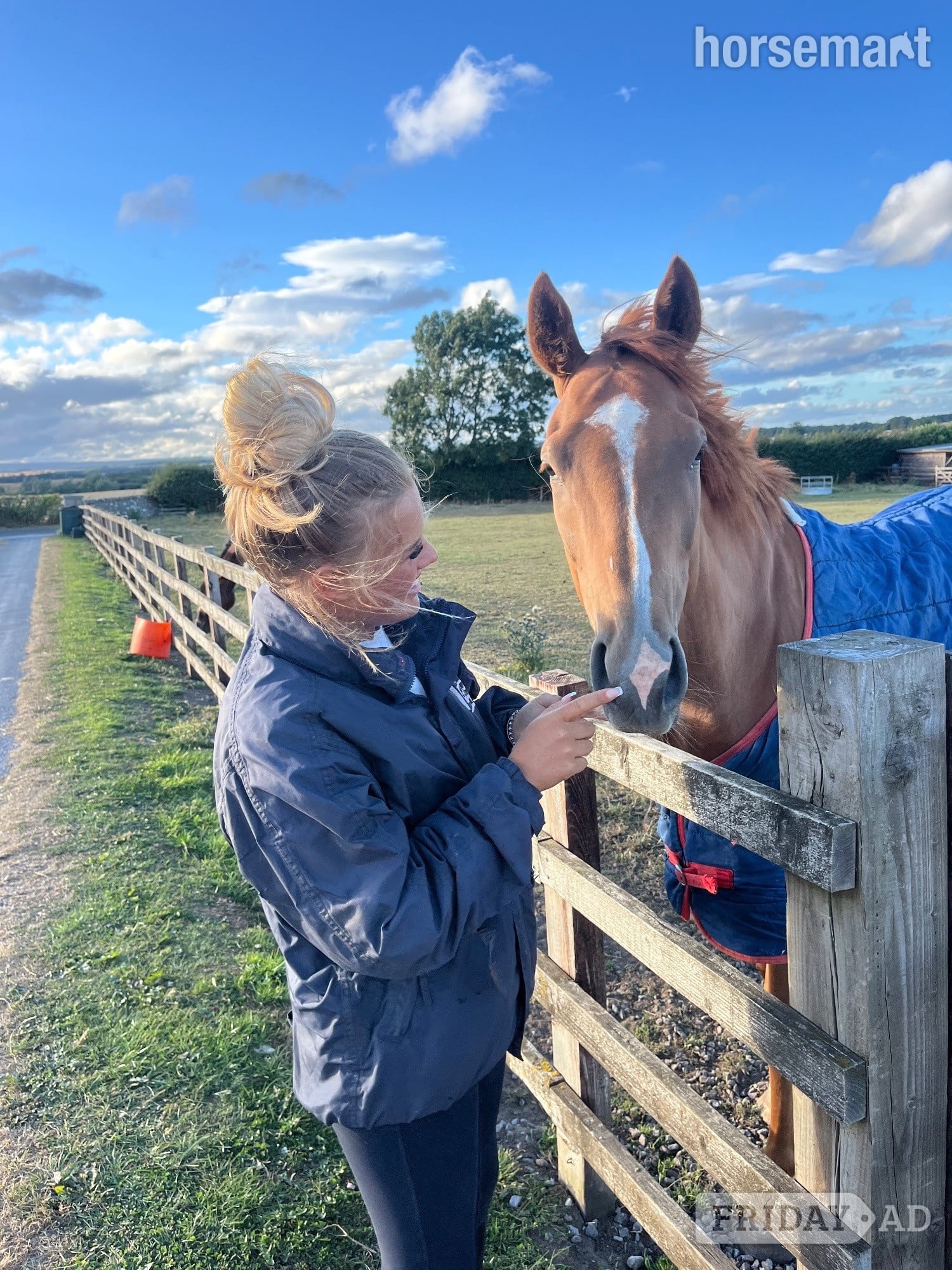 "Gaston (The Young Adonis)" Chestnut Gelding All Rounder in Bedale