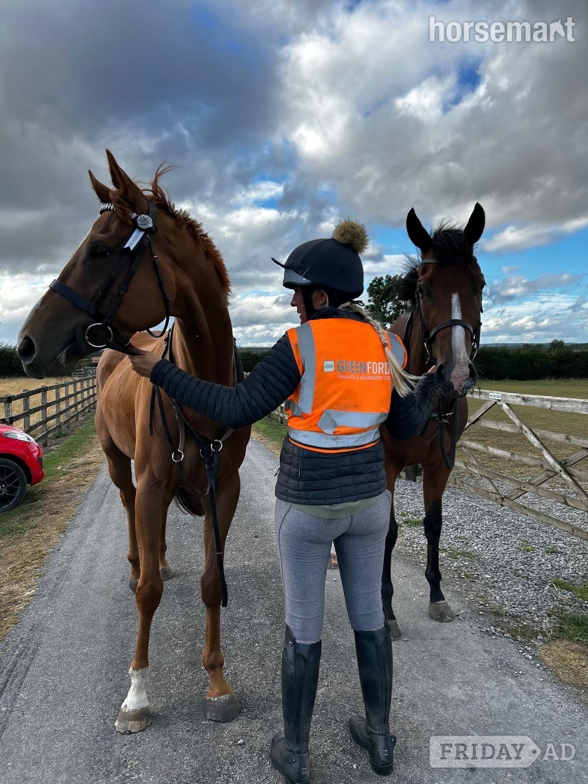 Bedale "Gaston (The Young Adonis)" Chestnut Gelding All Rounder