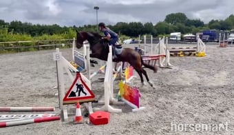 "Far Sight ‘Ritchie’" Dark Bay Gelding All Rounder