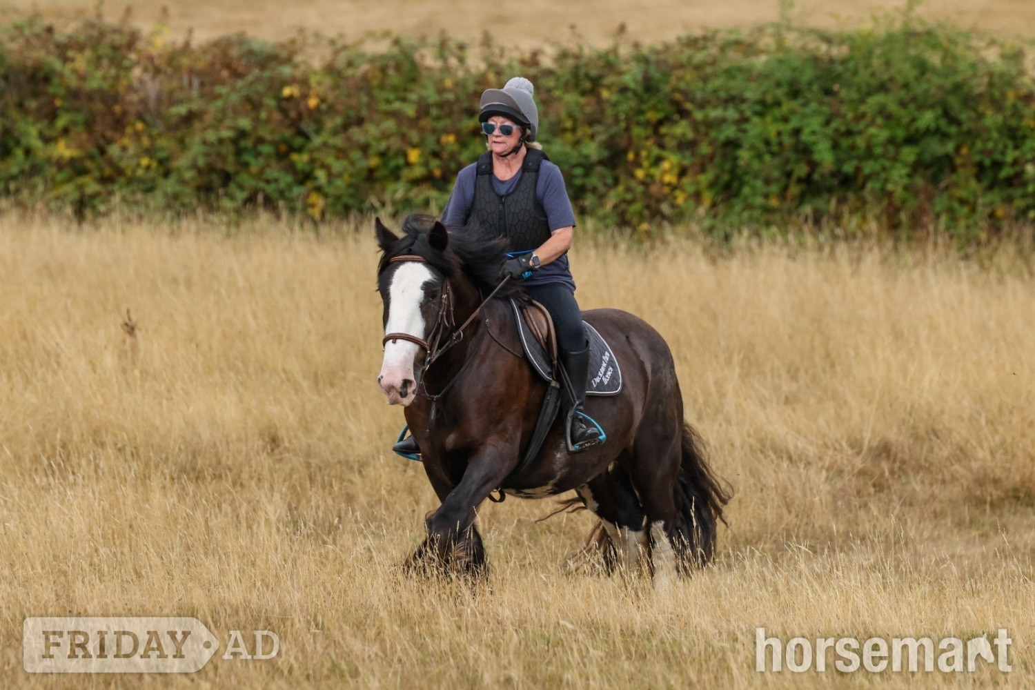 Staplehurst "Rosie" Brown Mare All Rounder