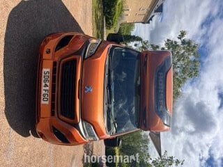 Regent  Peugeot Horsebox
