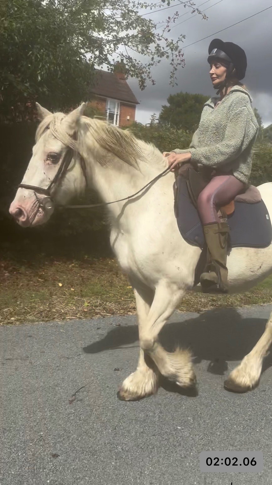 "Wilma" Grey Mare Cob/Heavy Horse - Horses in Worcester