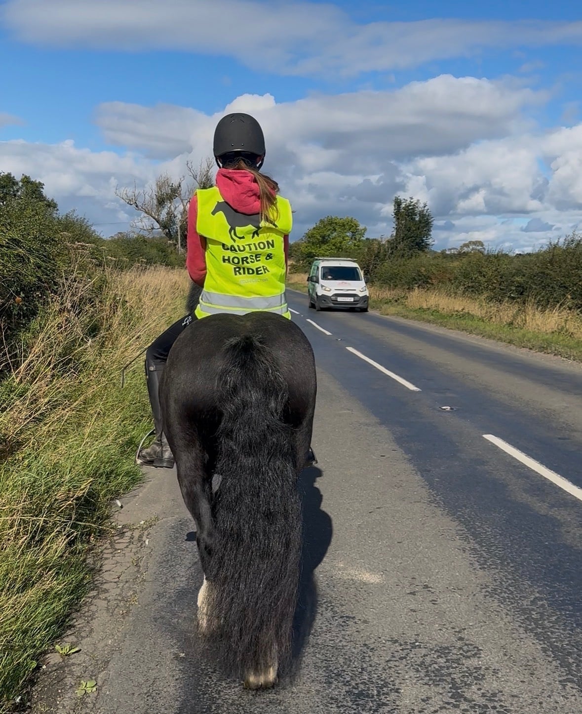 "Lilly " Black Mare All Rounder - Horses in Ponteland