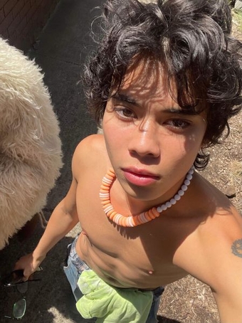 Teddy_Eurasian