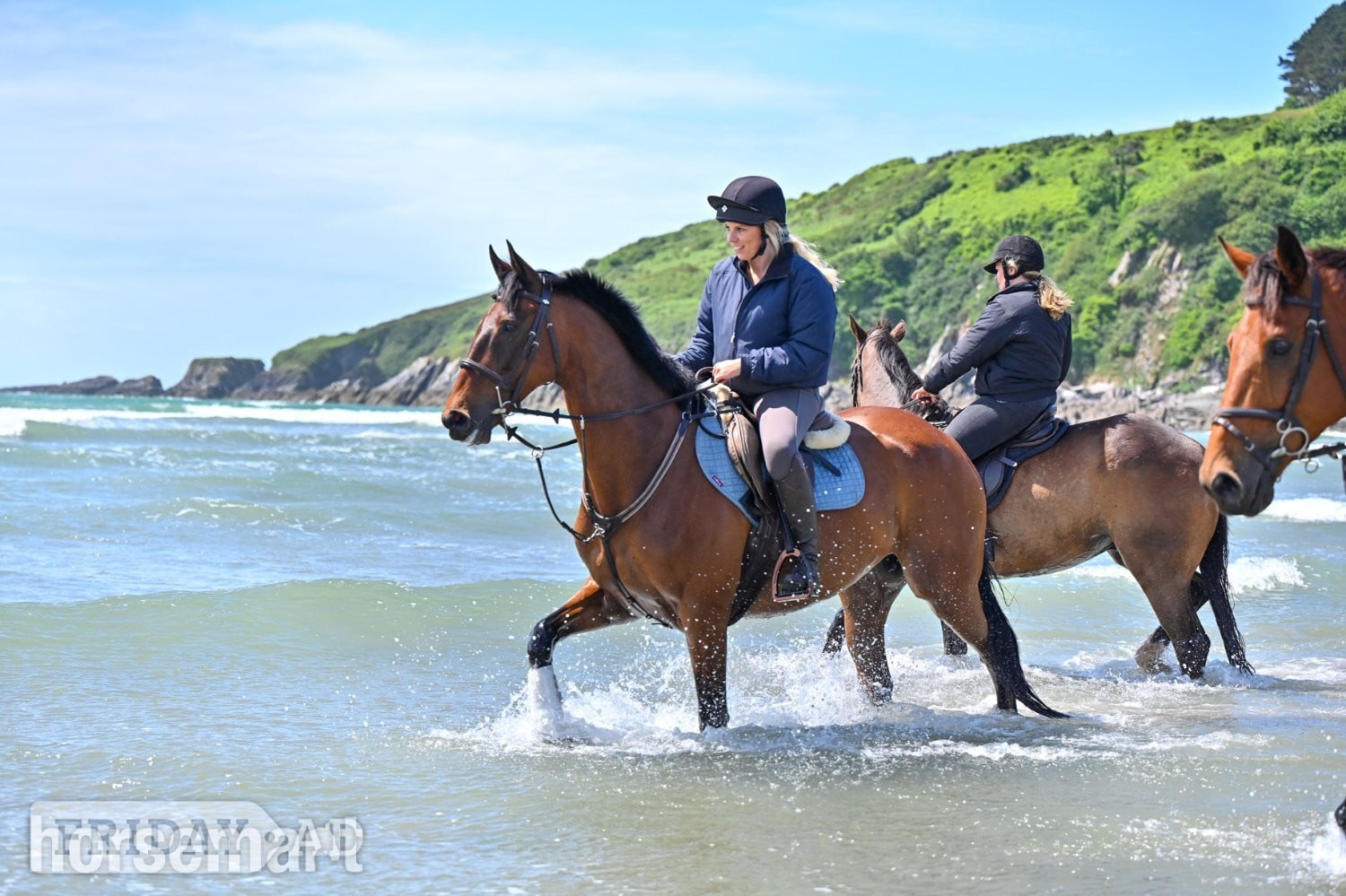 "Hijack " Bay Gelding All Rounder in Kingsbridge