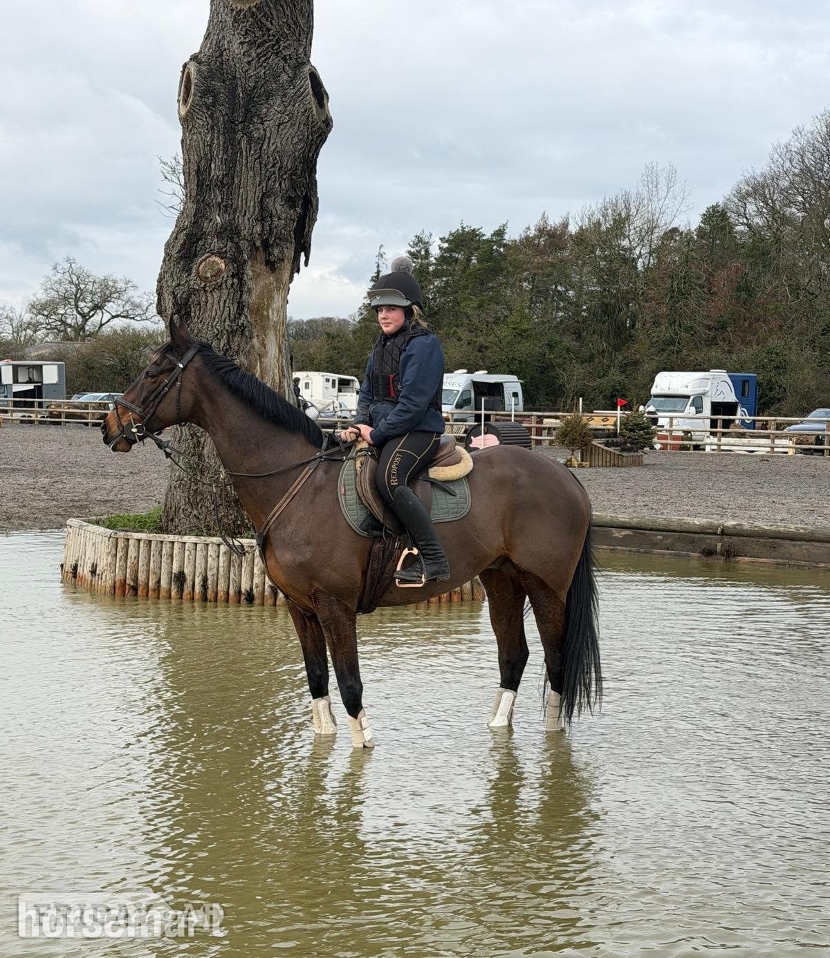 "Hijack " Bay Gelding All Rounder