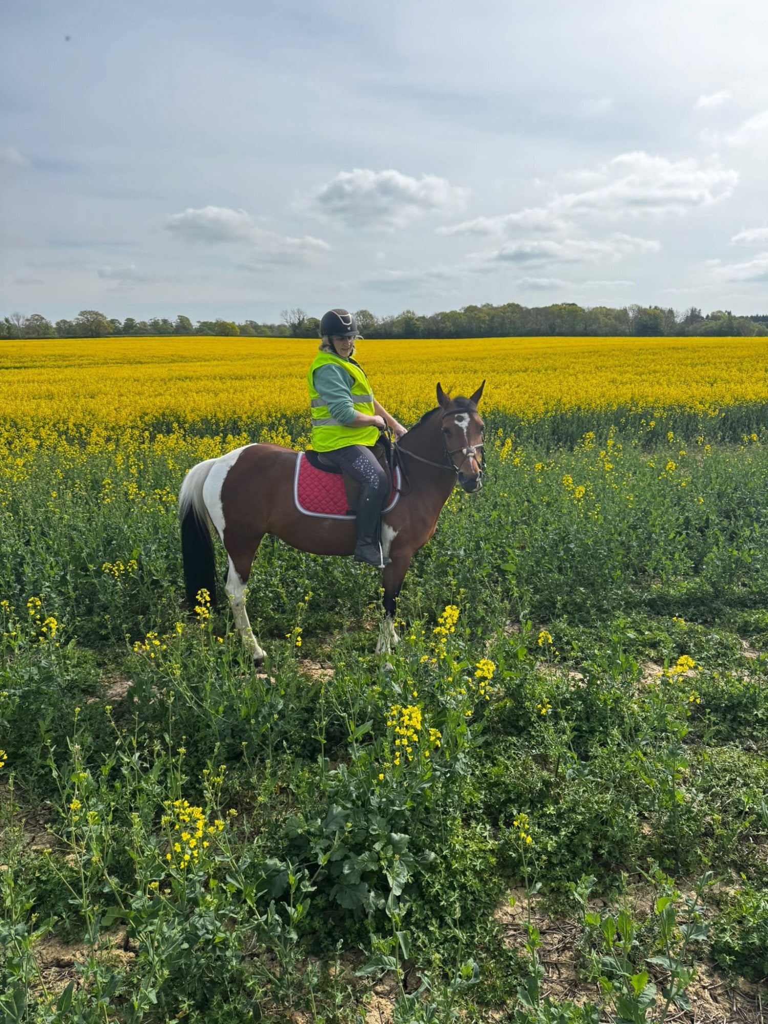 "Belle"  Mare Happy Hacker