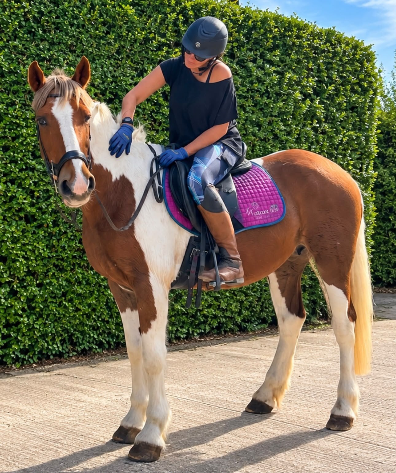 Warrington "Lucky" Skewbald Mare Cob/Heavy Horse