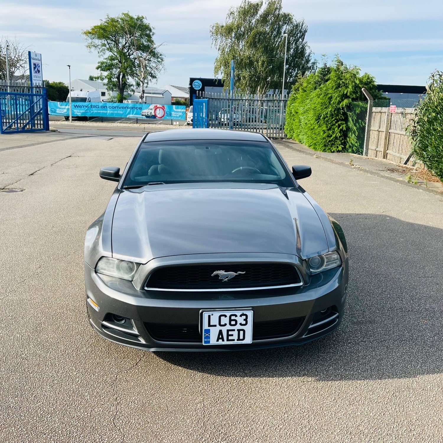 [ berth ]Ford Mustang