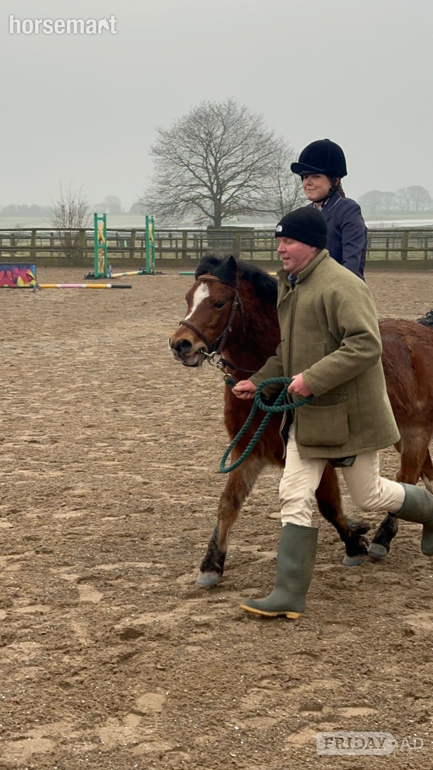"Rusty" Bay Gelding Lead Rein/First Ridden Pony