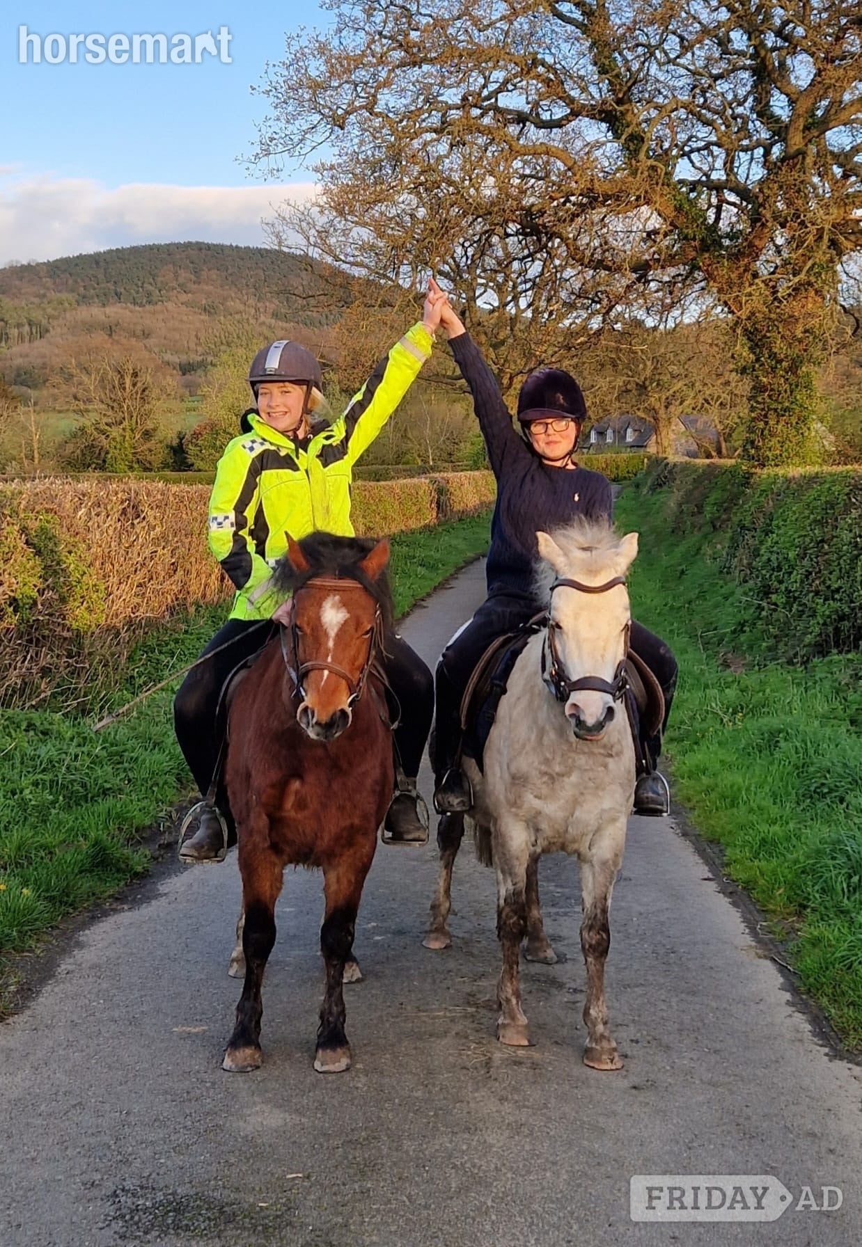 "Rusty" Bay Gelding Lead Rein/First Ridden Pony - Horses in Shrewsbury