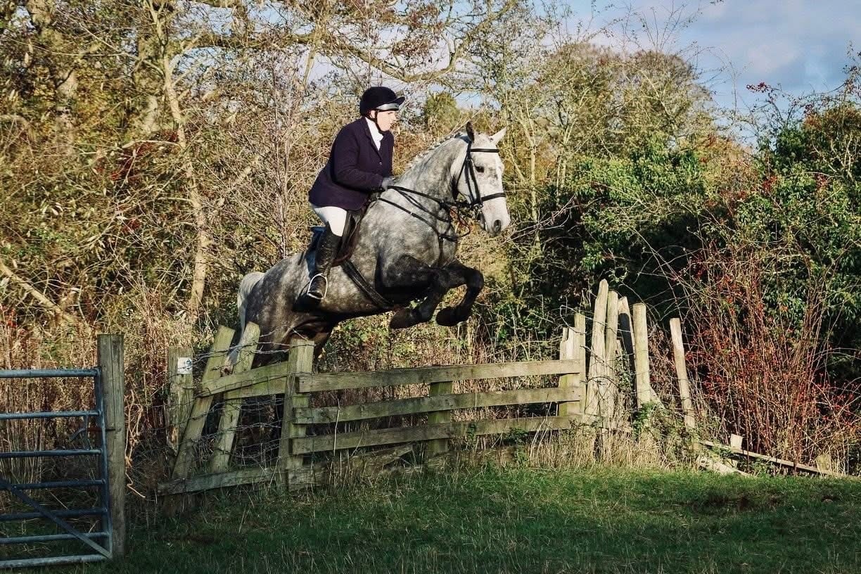 "Blue" Dapple Grey Gelding All Rounder