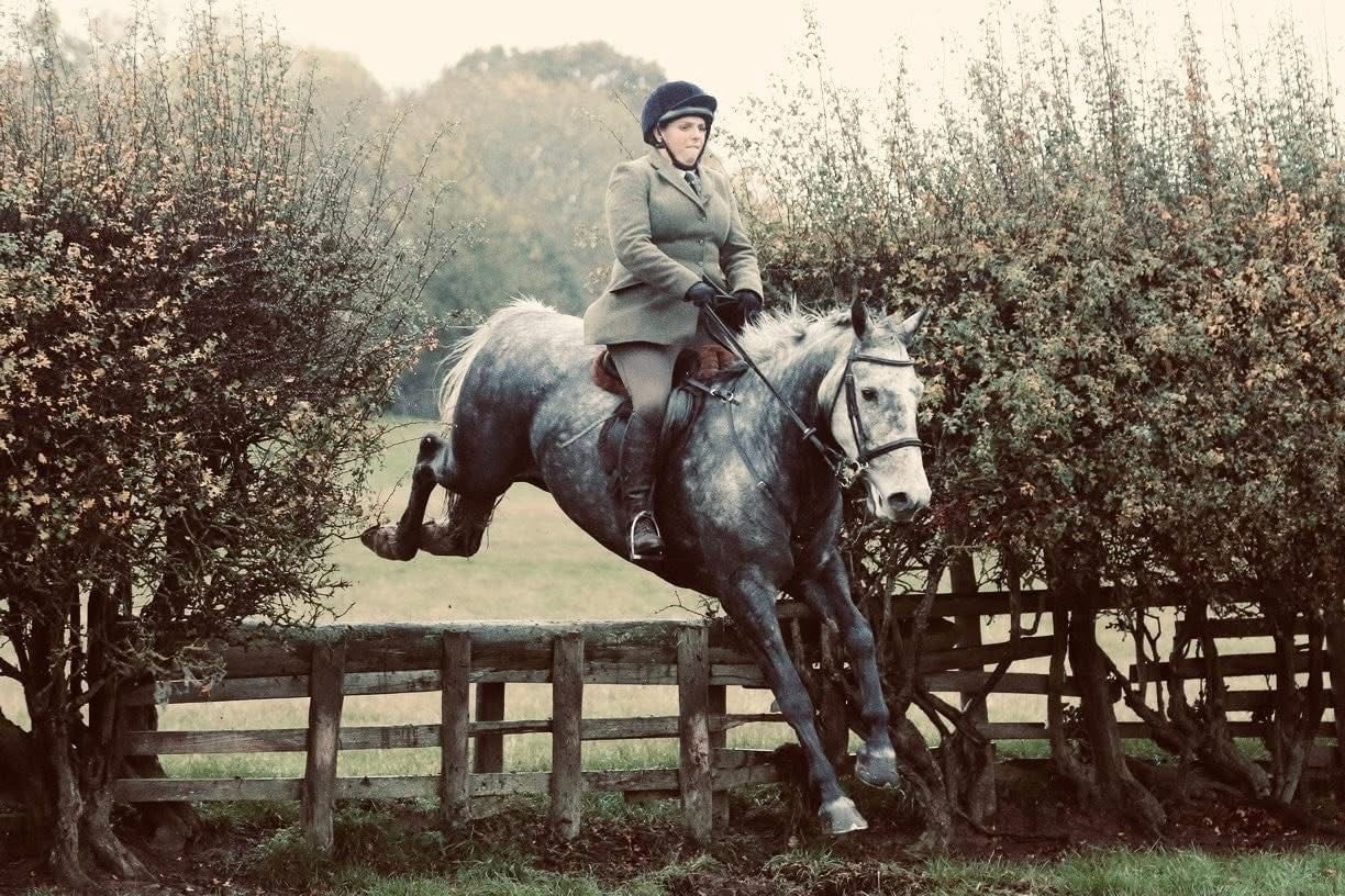 Northallerton "Blue" Dapple Grey Gelding All Rounder