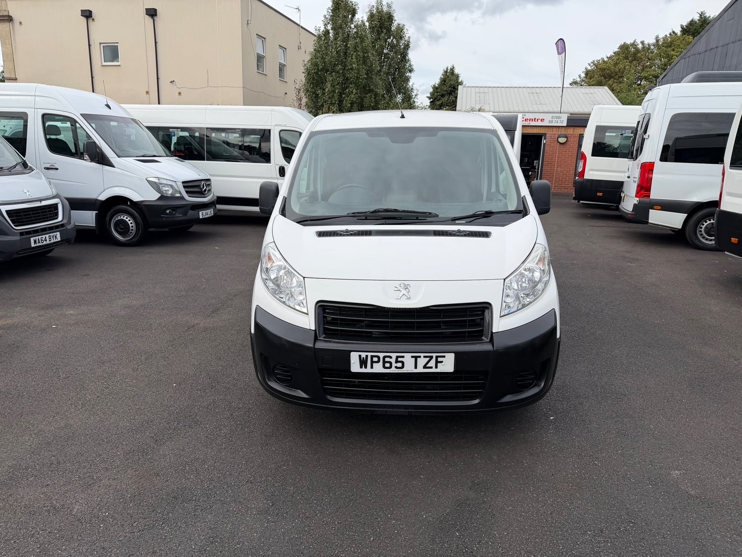 [ berth ]Peugeot Expert