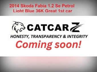 Skoda Fabia 2014
